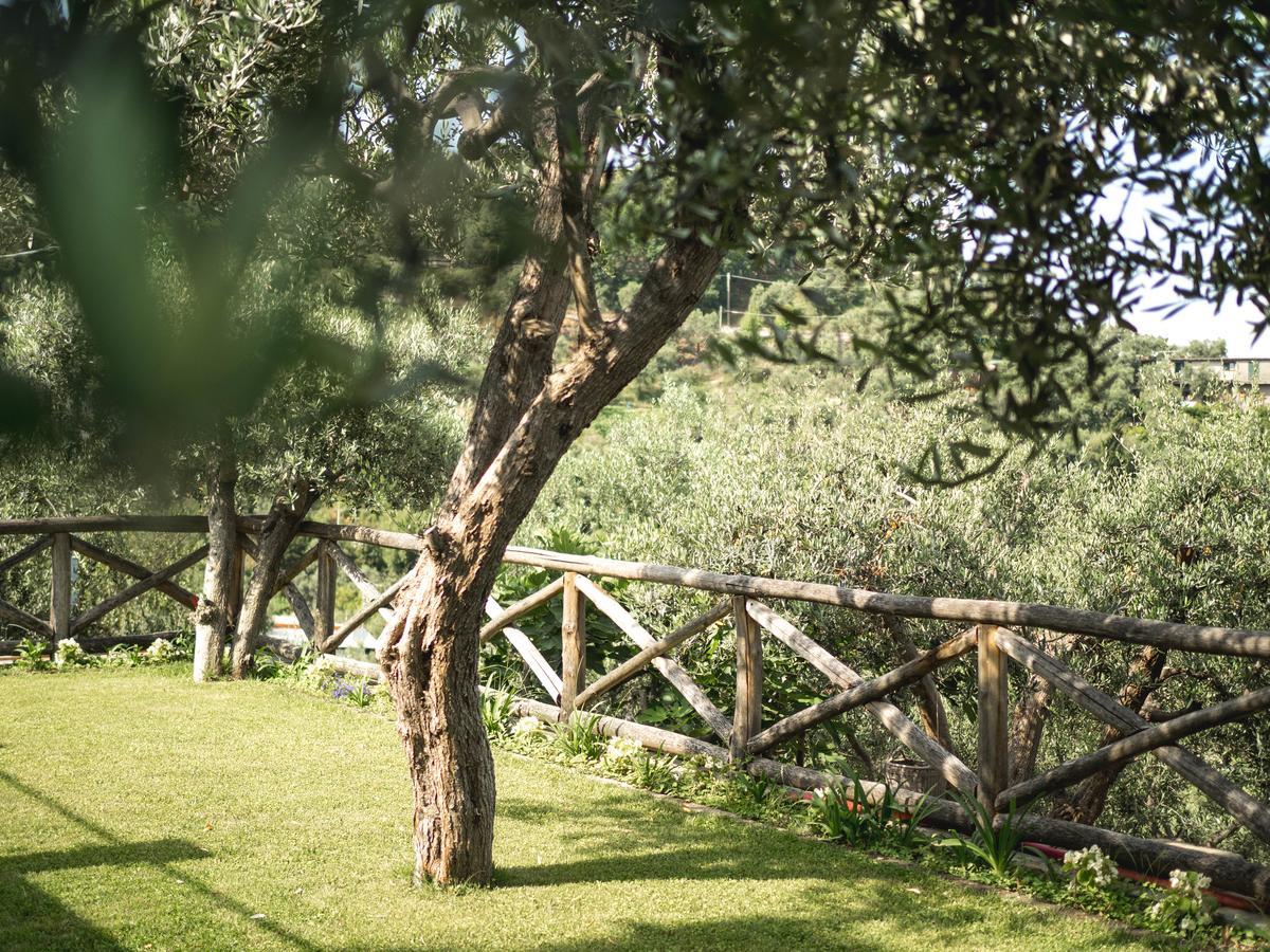 Casa Clementina Marciano Frühstückspension *